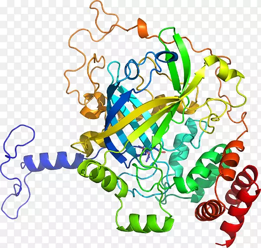 ��������������Ϊ������-��-������