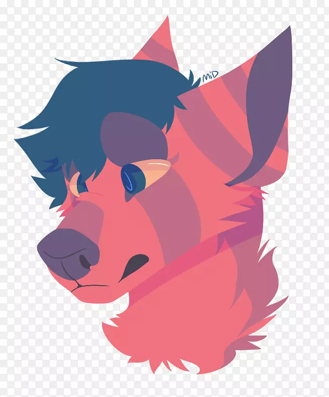 ����è��Ȯ�ƣ����ӣ���-è-������