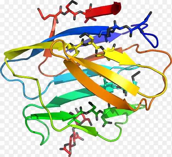 �ߵ������������-������