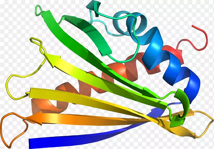 �߲��߼�����-�߲�-������