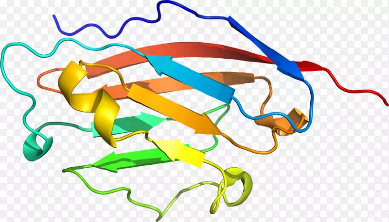 �ߵ������-��-������