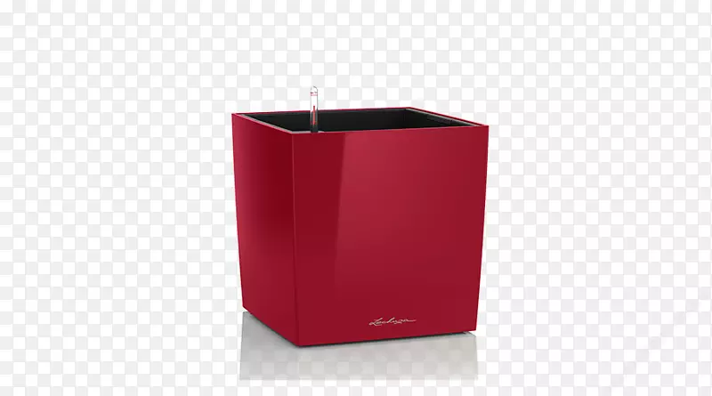 �������-������