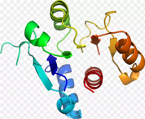 �ߵ������-��-������