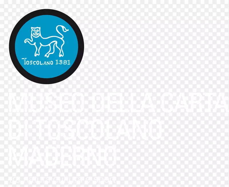 �̱��������-������