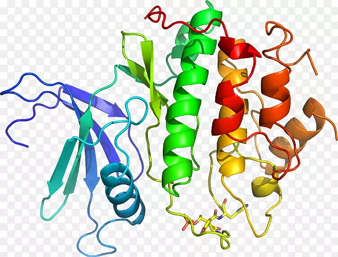 �߲˾��߼�����-�߲�-������