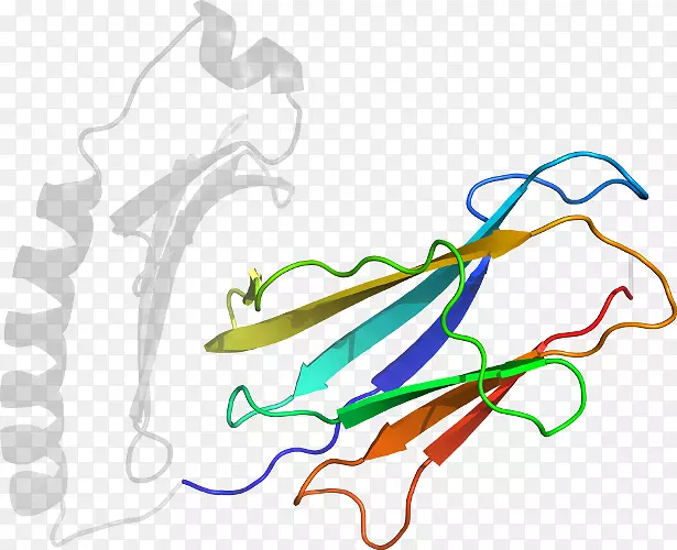 �ߵ������-��-������