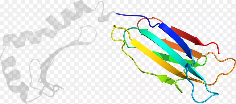 �ߵ������-��-������