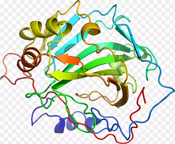 �ߵ������������-������