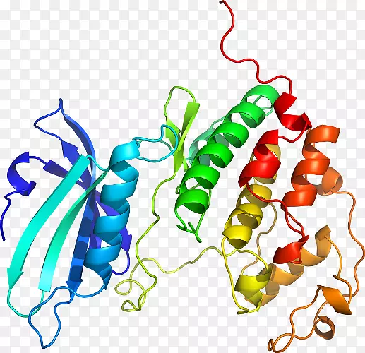 ����ʳ�ﴫ���߼���������-������