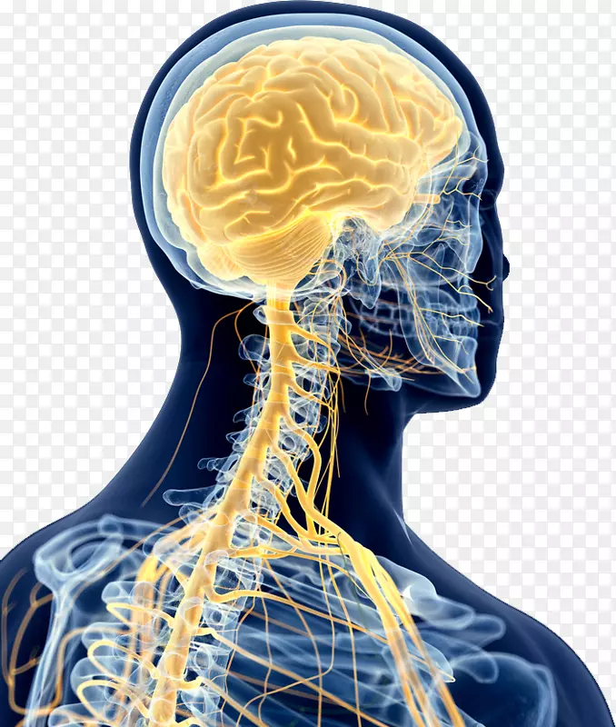 ��ͨ��Ӱ������׵ϵͳ-������