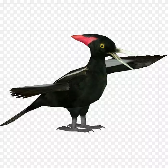 ��ද����ë-������