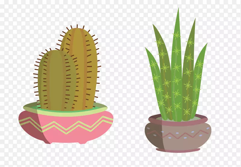 �����ƿ�ֲ��-������������-������