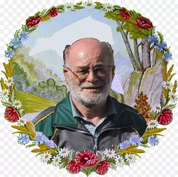 �������ʳƷ����ֲ��.���-������