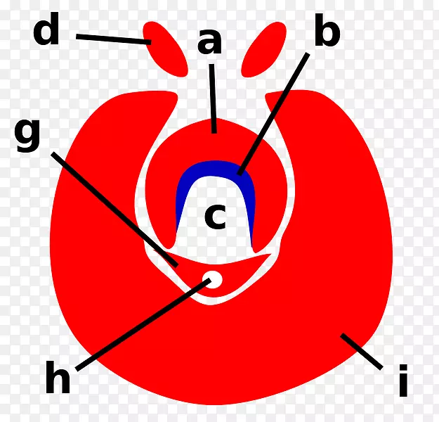 ������ǰ�ó���������-������