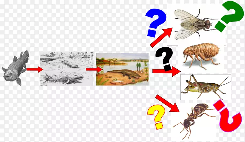 �۷�����-������