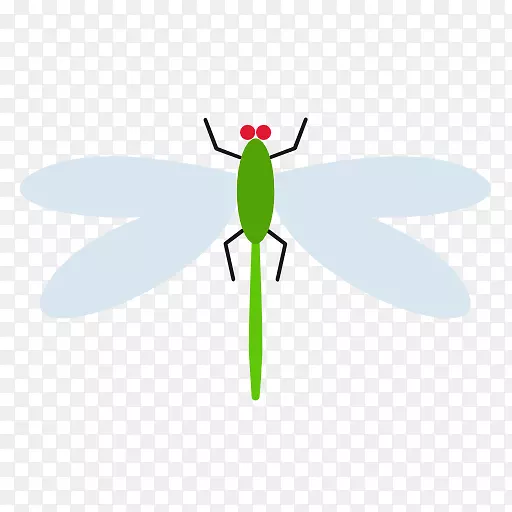 �ó��������-������