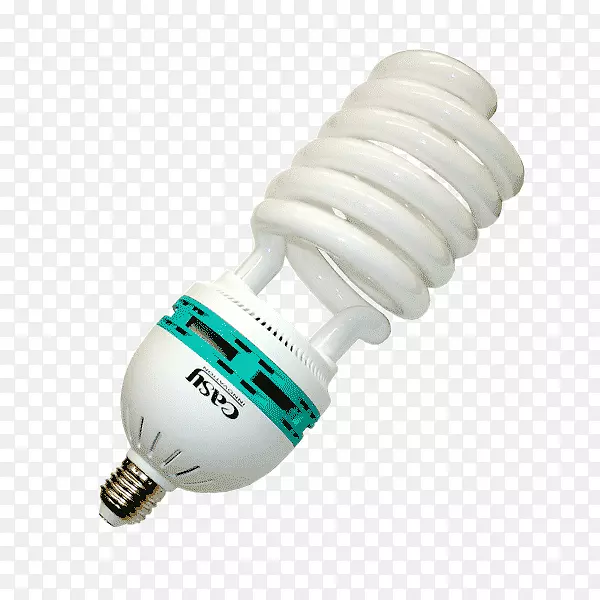 �׳����ӫ���ӫ���-������