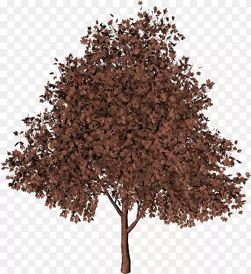 ����-������