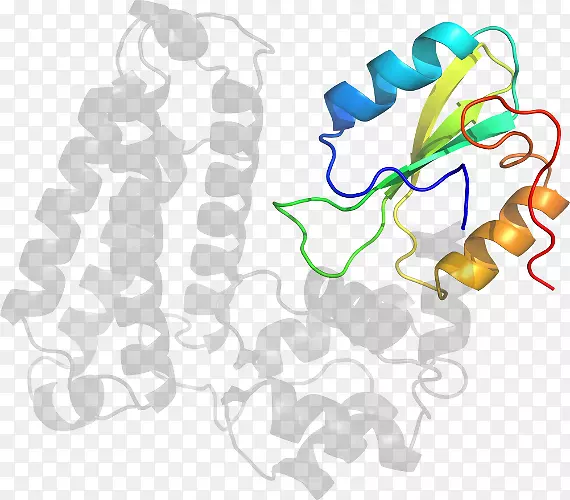 ���߼�����-��-������