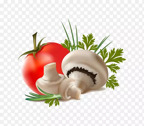 ��֭ˮ���߲�ʳƷ����Ģ��-������