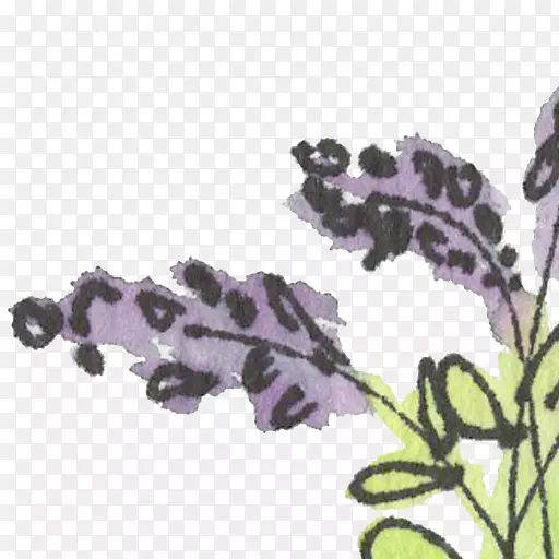 Ӣ��޹�²��������������ֳ�ָ��-������