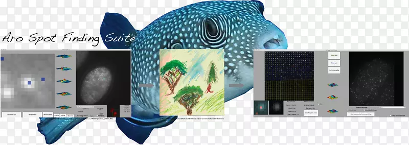 ���Ӷ�ý�����-������