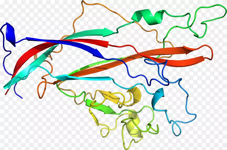 �ߵ������������-������