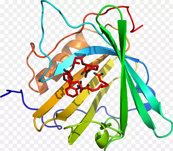 �ߵ������������-������