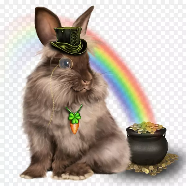 ����Ұ�������ɶ�-����-������