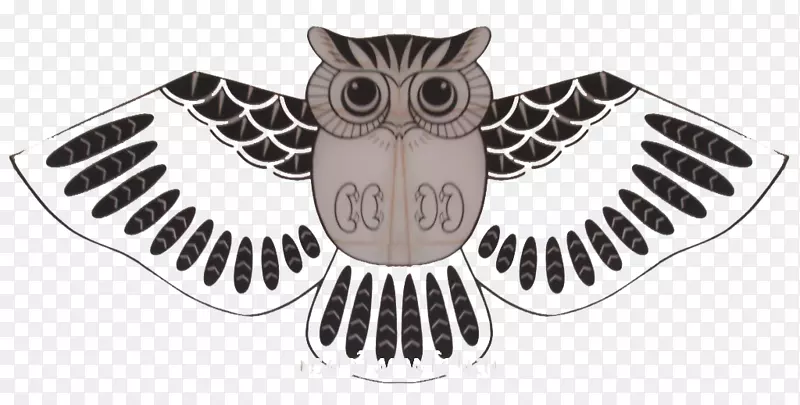 Ϋ��èͷӥ����˿èͷӥ-������