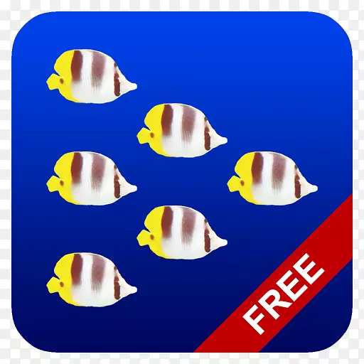 ���ٴ�ʦ2���ٴ�ʦ������ر�׿-������