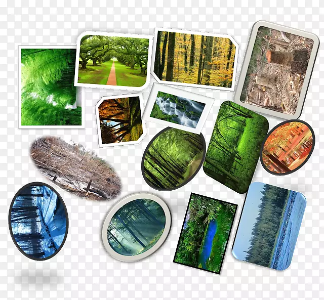 ��ҵ���ƴ�����-������