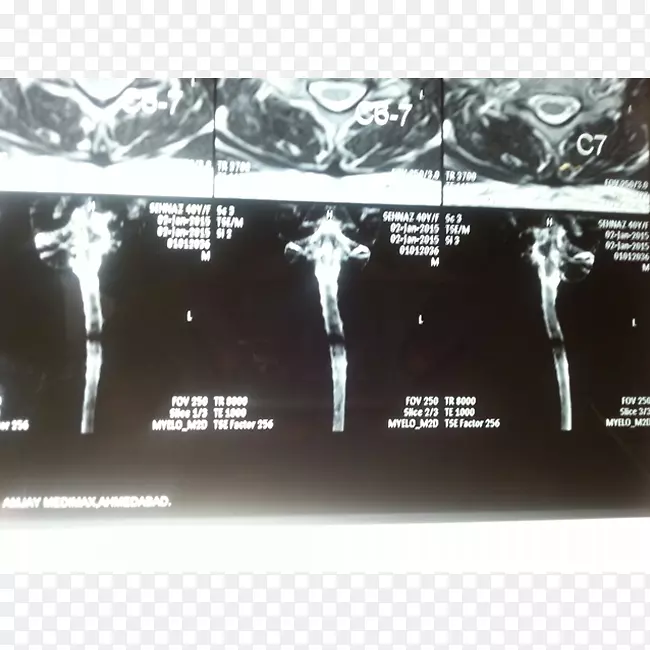 Ʒ�Ƽ�����ɫ���弼��-������