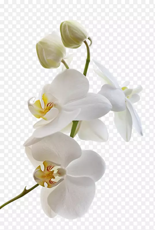 �������ͼ�����-��-������