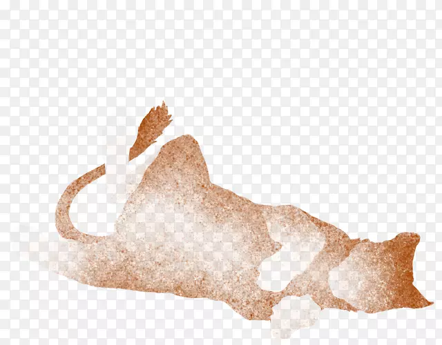 Ȯ�ƹ���ëƤ�����ӣ�-��-������