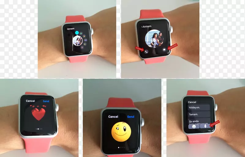 �����ֻ����ű�Яý�岥����ƻ��-�����ֻ�-������