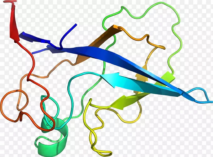 ֱ�ߵ�ֲ�ﾥ��������-������