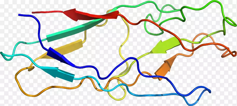 �ߵ������������-������