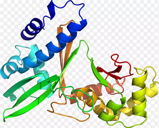 ֲ�ﾥ���鱦�߼�������-������