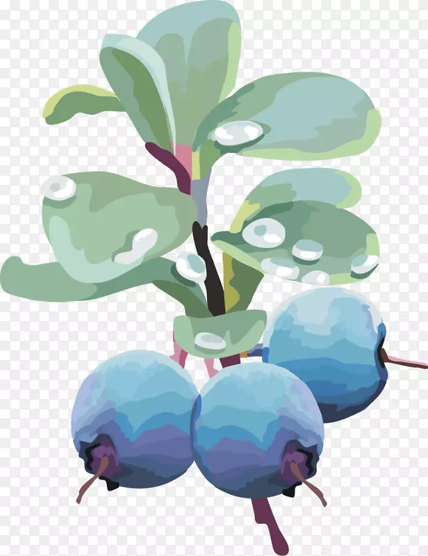 ��ݮ��������������ʵ��ݮ-������