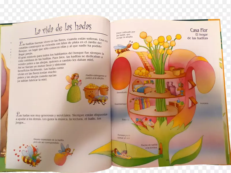 �߲˹���-������