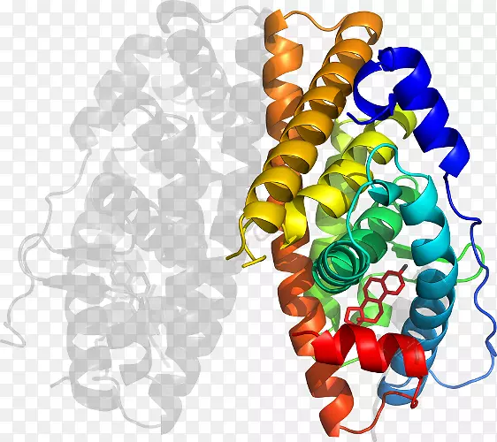 �����л�����������������-������