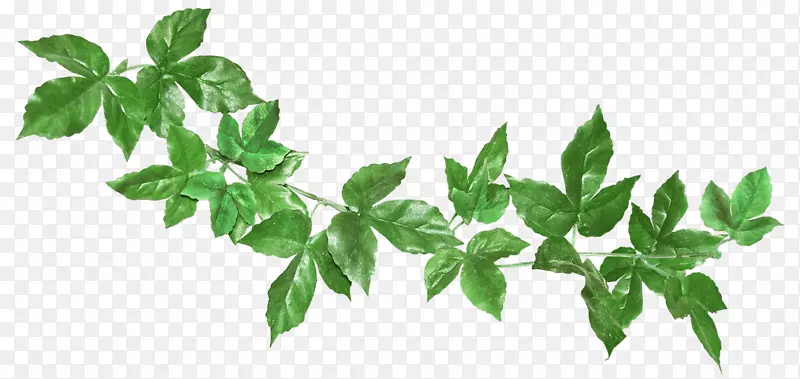 С�������־�-������