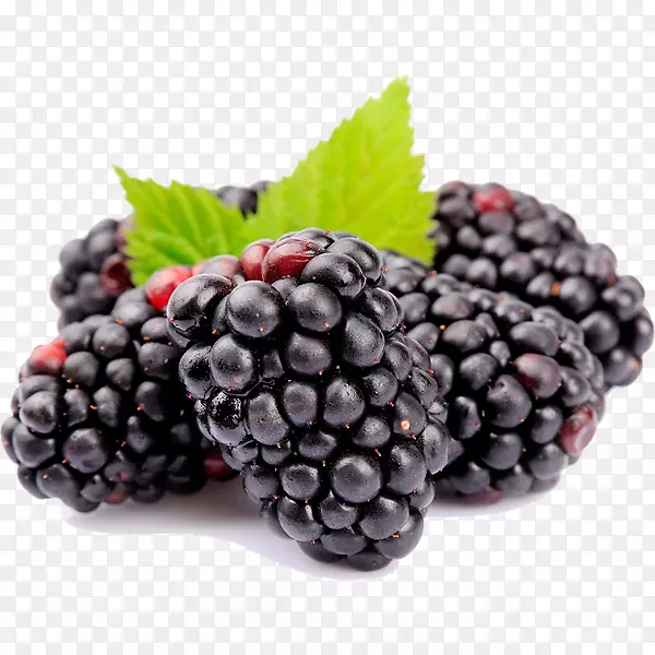 �ű�ɭ�������߲�-������