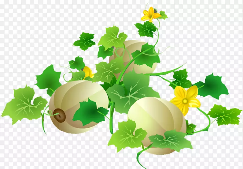 �������-���-������