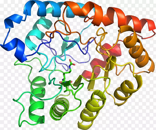 �����߶����������-������