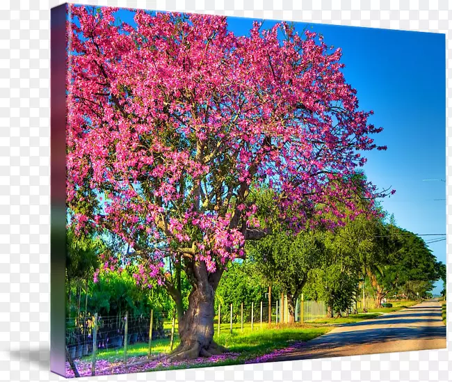 ��ľ��ͨ���㿪��ֲ��˿��������������-������