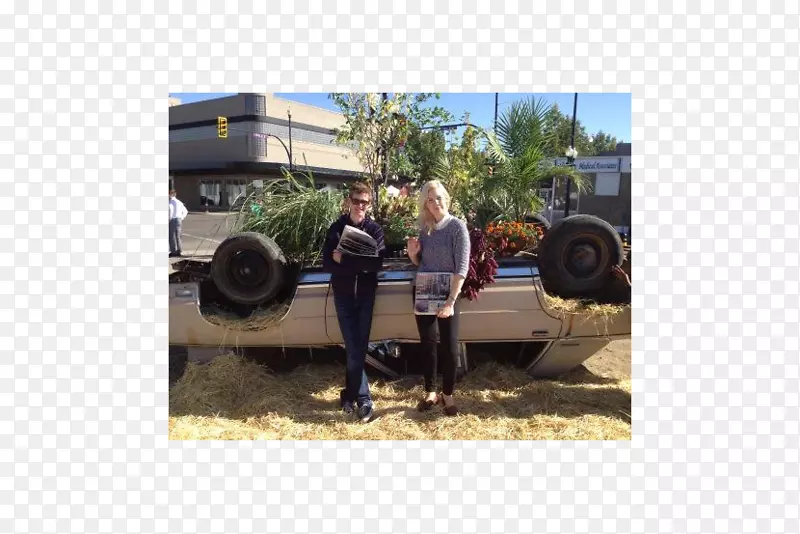 ��̥������������������.����-������