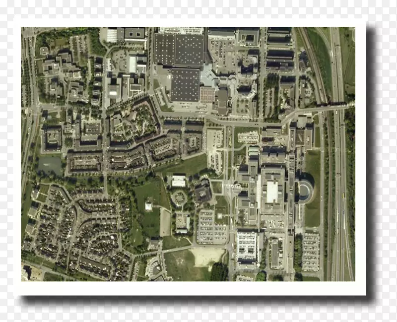 ������ƽ���-���-������