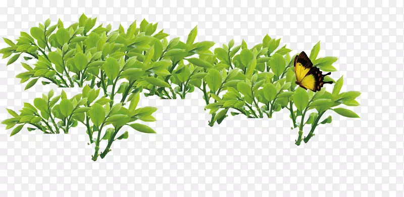 С������-������